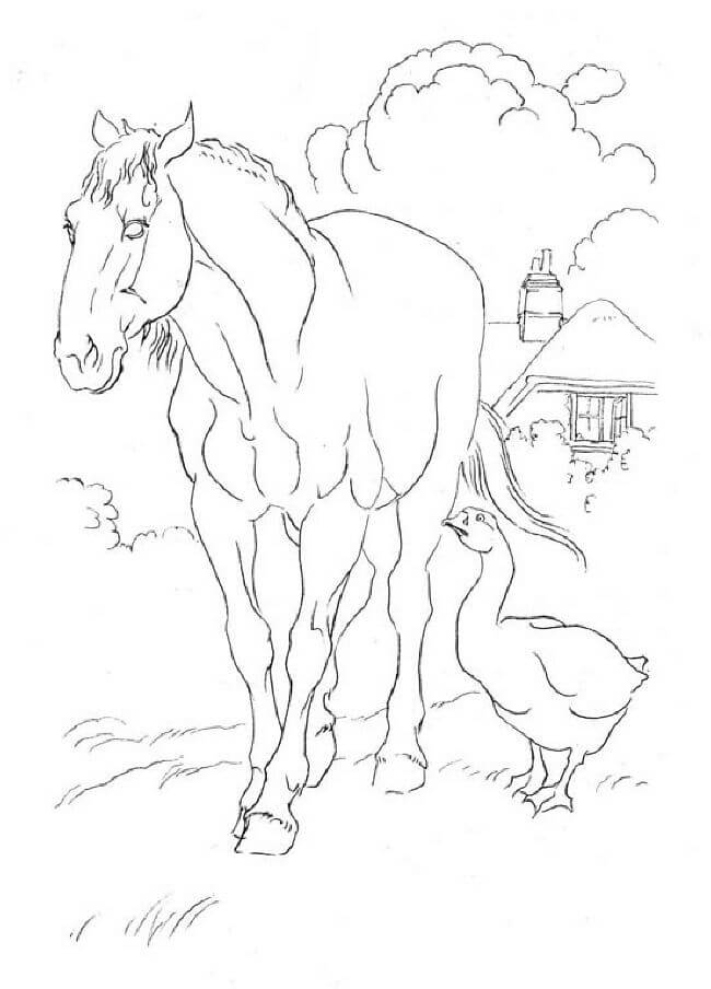 camera horse coloring pages - photo #26